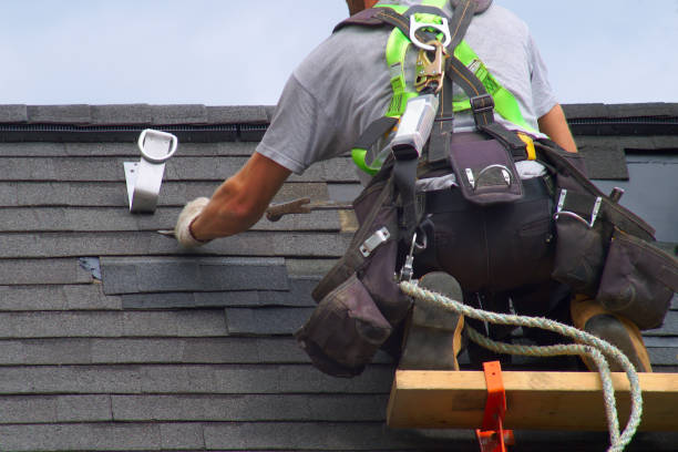 Best Roof Gutter Cleaning  in Oran, MO